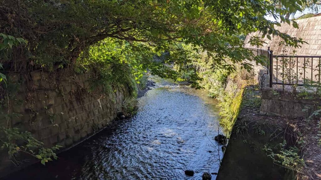 原田公園の川辺