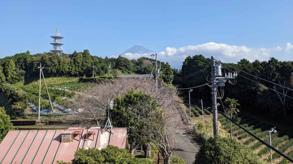 岩本山公園の富士山