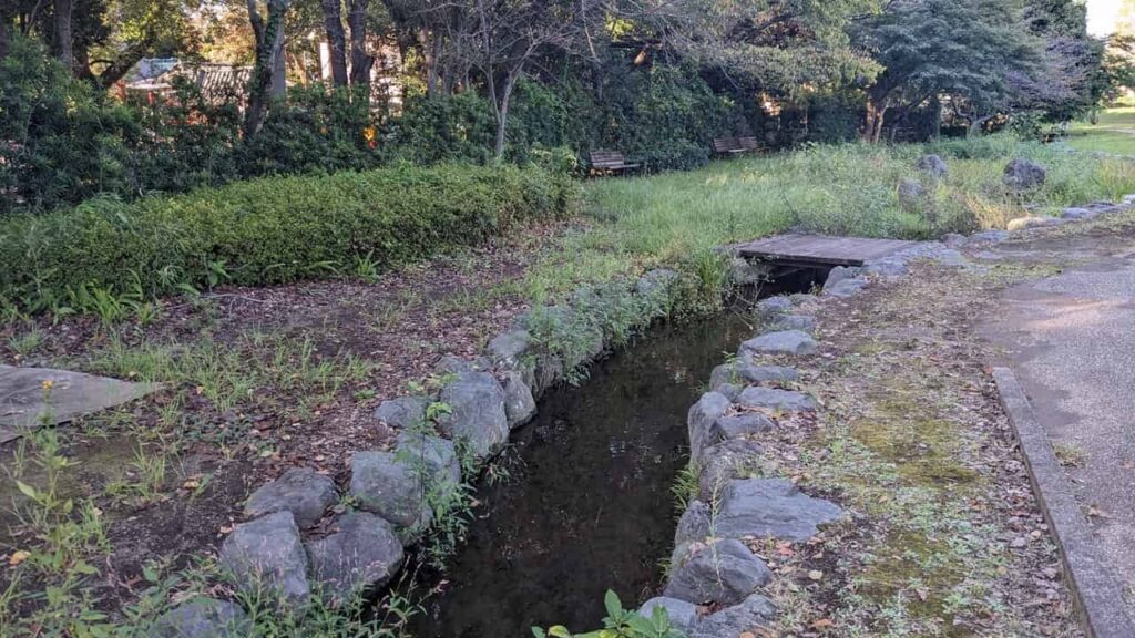 米の宮公園の池