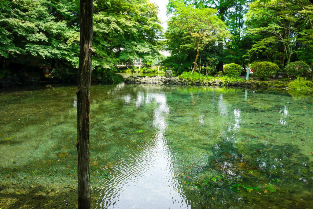 富士宮市・掬水