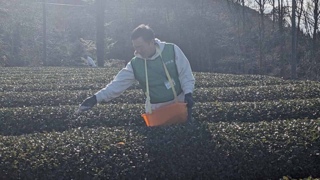 『お茶で静岡を美しく。』