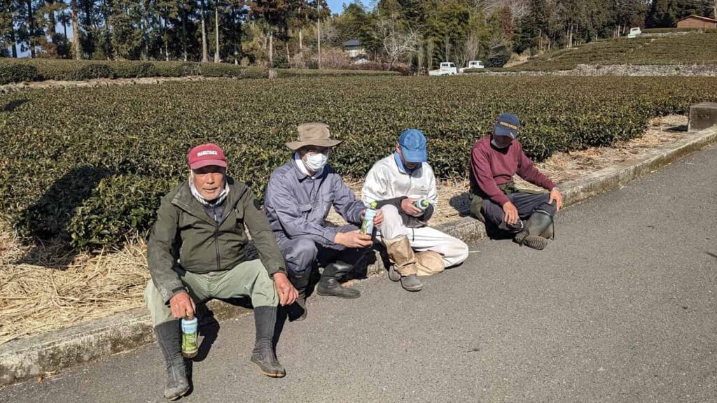 『お茶で静岡を美しく。』