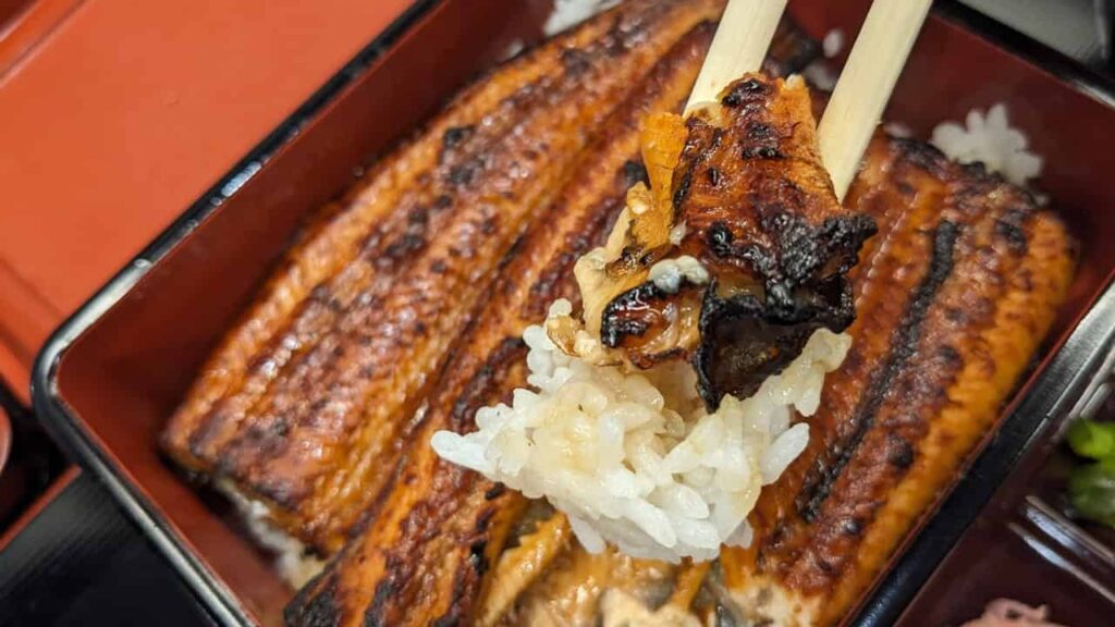 鰻の成瀬 アクロスプラザ富士宮店のうな重