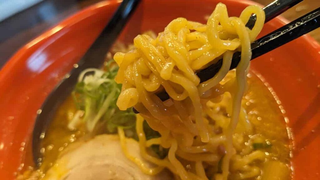 濃厚赤味噌麺の中太ちぢれ麵