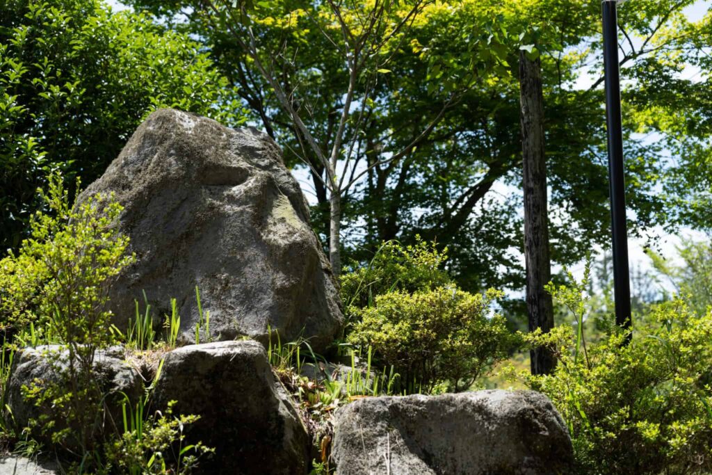 『なか富士』写真