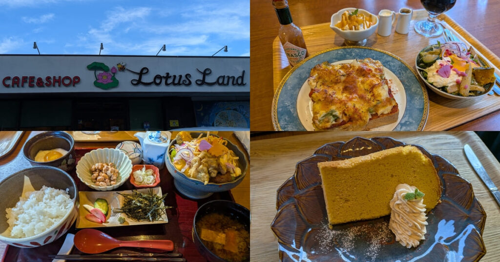 ロータスランド・富士宮市猫沢