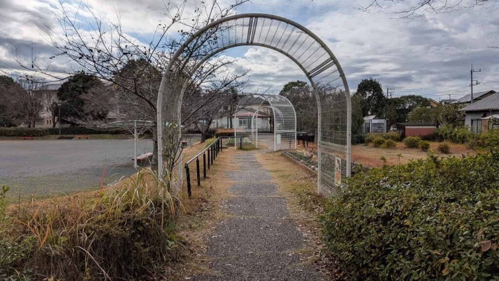 江尾公園の遊歩道