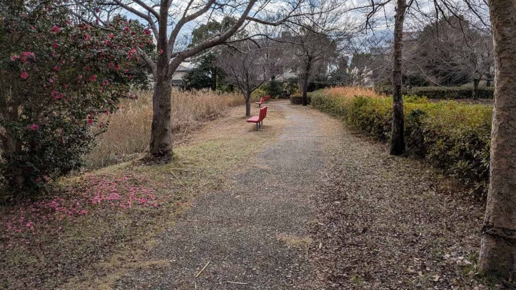 江尾公園・ウォーキング