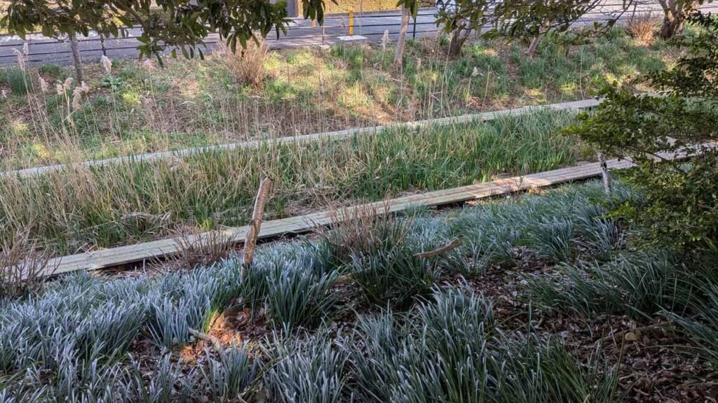 浮島沼釣り場公園・静岡県富士市中里