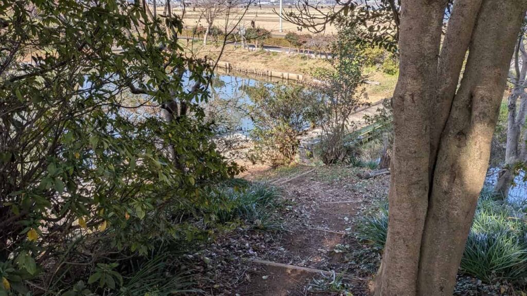 浮島沼釣り場公園・静岡県富士市中里