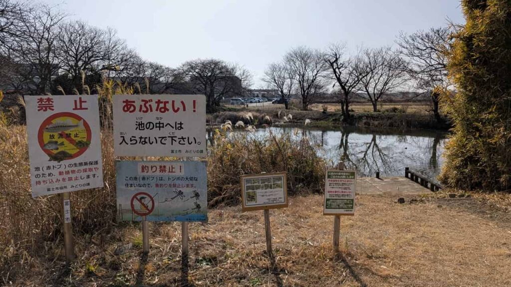 浮島沼釣り場公園・静岡県富士市中里
