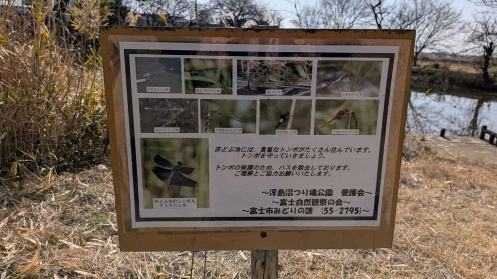 浮島沼釣り場公園・静岡県富士市中里