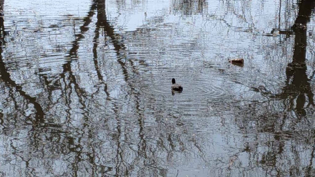 浮島沼釣り場公園・静岡県富士市中里