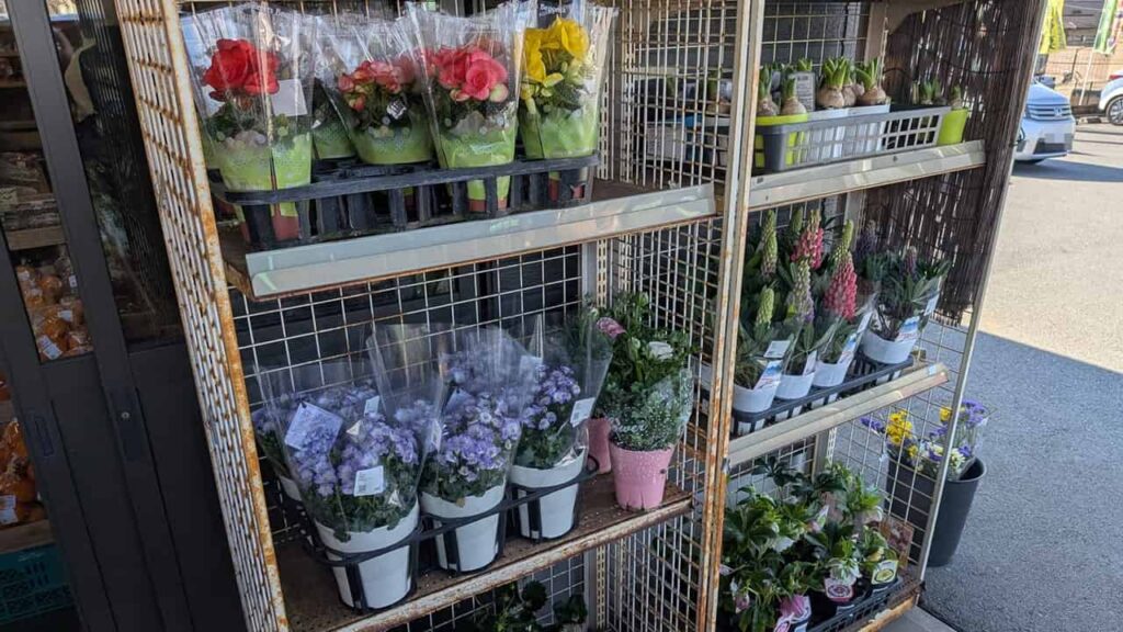 『農産物直売所 大富士』の農作物