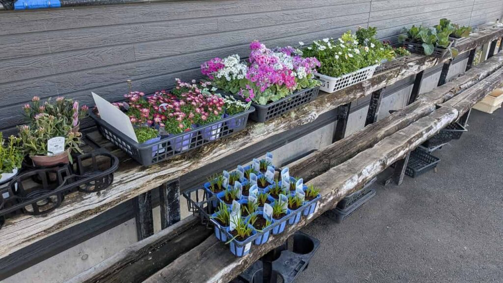 『農産物直売所 大富士』の農作物