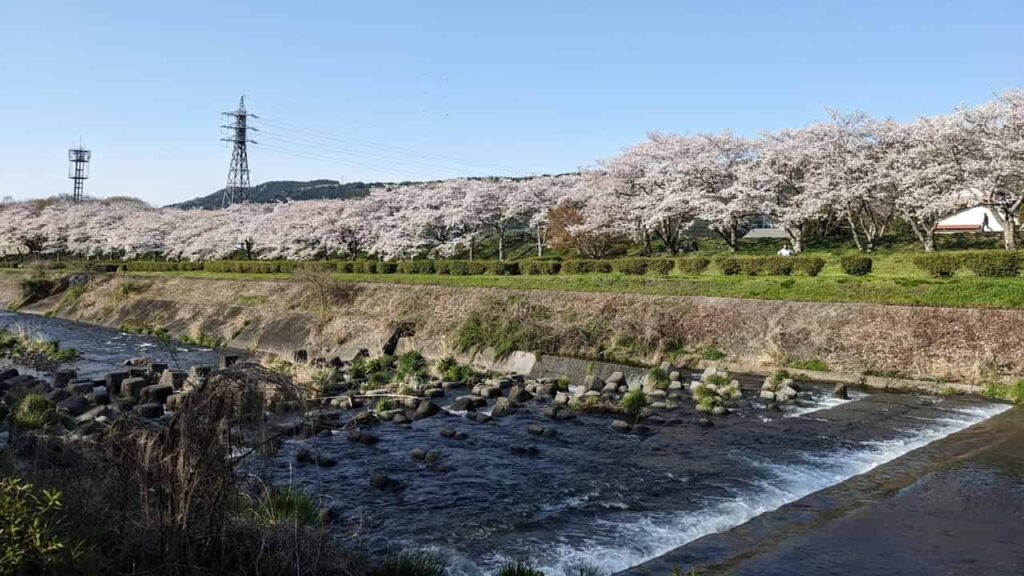 潤井川河川敷(富士宮市)