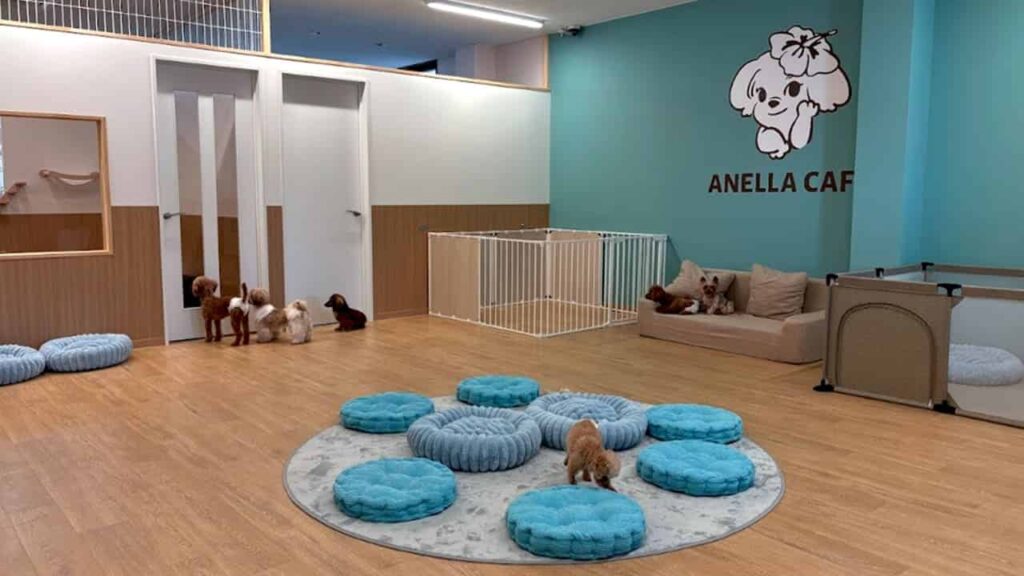 ANELLA CAFE 富士宇東川東町店