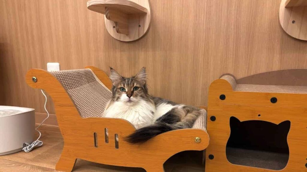 ANELLA CAFE 富士宇東川東町店