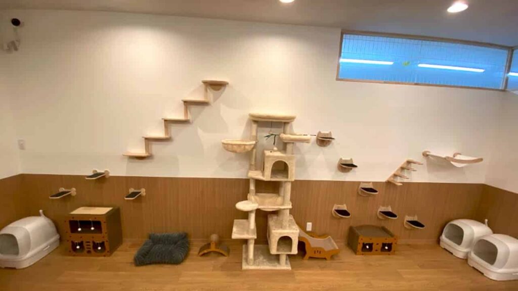 ANELLA CAFE 富士宇東川東町店