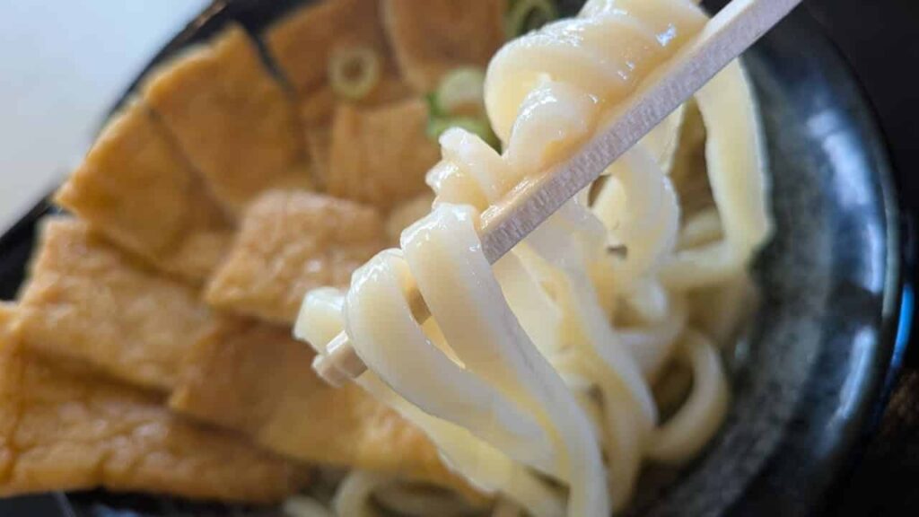 富士見うどんの麺