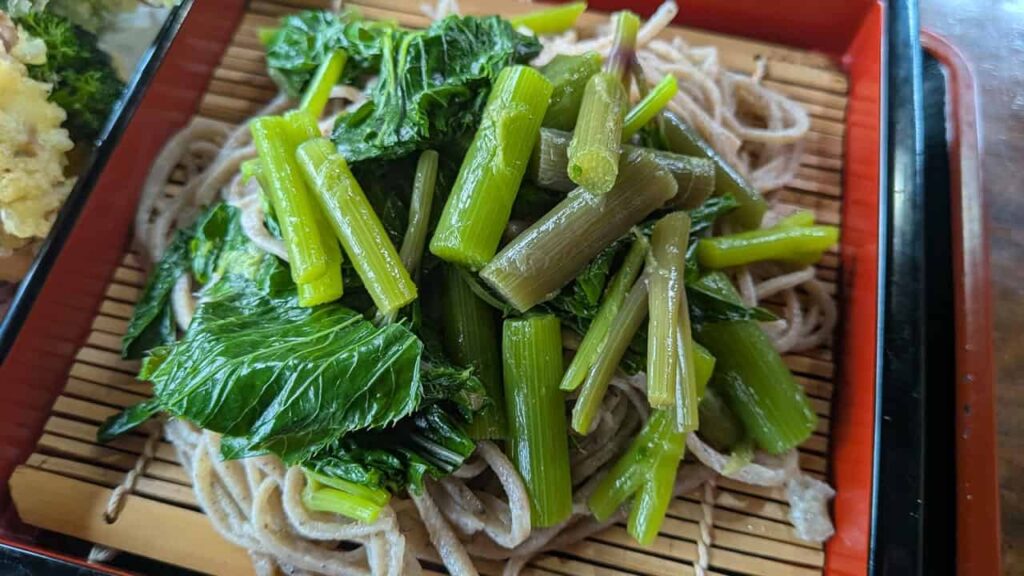 沢山盛られた明日葉