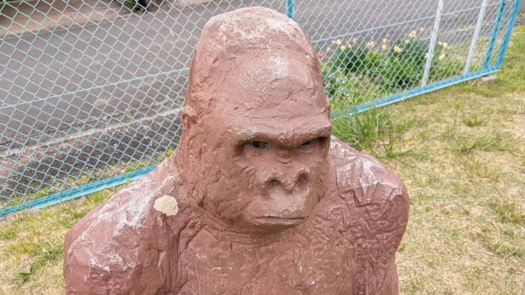 富士宮のイケメンゴリラ像