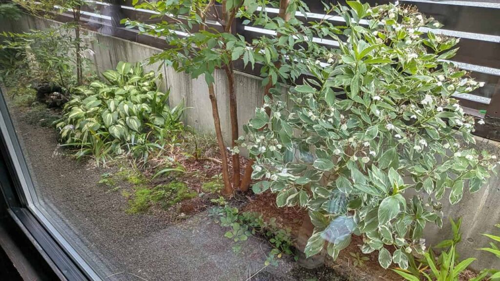 ひで・静岡県富士宮市万野原新田