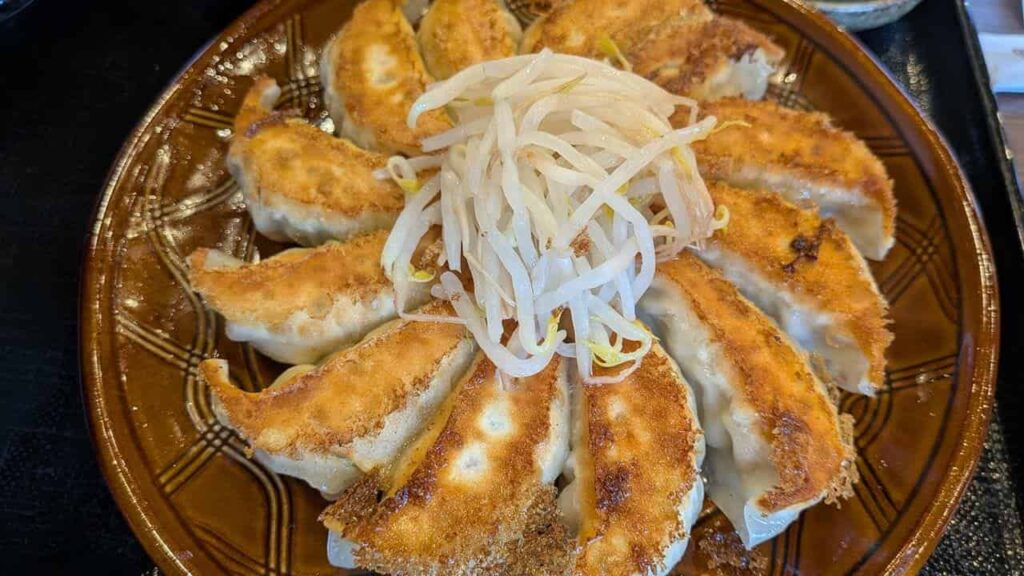 もやし付きの浜松餃子
