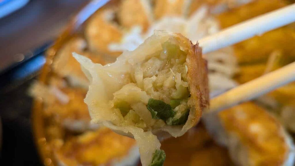 五味八珍の浜松餃子