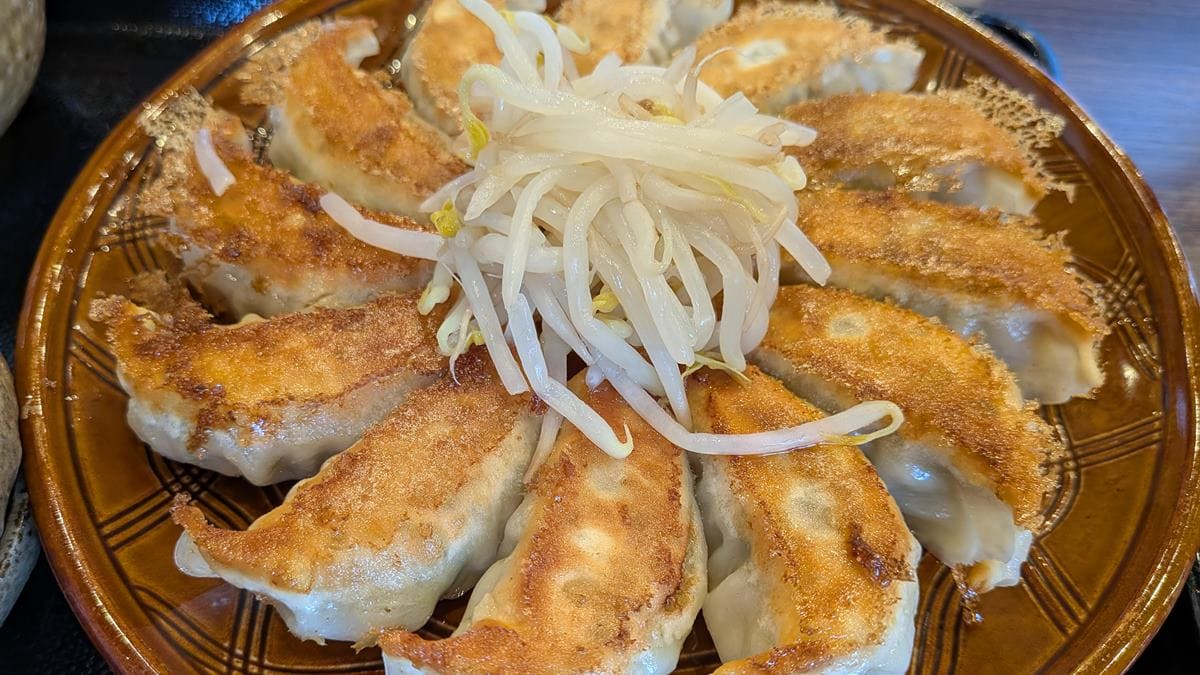 五味八珍の浜松餃子
