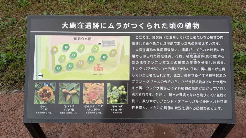 大鹿窪遺跡・富士宮市